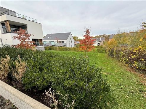 Exklusive Duplex-Wohnung mit Bungalow Charakter in begehrter Wohnlage: Stadtnah, ruhig und umgeben von Natur – Waldnähe inklusive