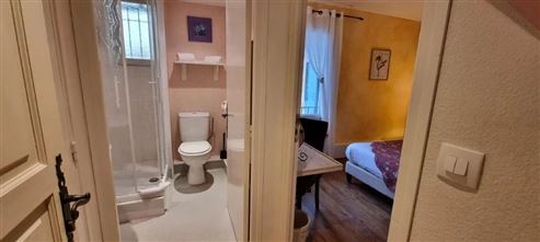 Außergewöhnliches Anwesen im Herzen der Drôme Provençale: Charmantes Hotel mit vielseitigem Potenzial – neu zu gestalten als Hotelprojekt, Gästehaus oder Familienanwesen