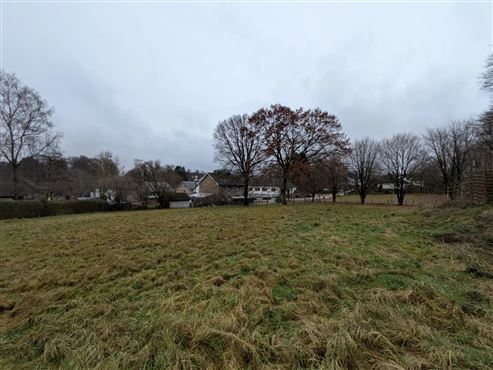 Exklusives Neubauprojekt in Weywertz- Vier hochwertige, energieeffiziente Einfamilienhäuser zwischen Natur, Komfort und Lebensqualität