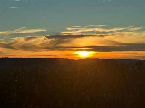 Großzügiges Wohnen mit Weitblick – Raum, Ruhe und Natur in privilegierter Lage EFH mit Einliegerwohnung für vielfältige Wohn- und Arbeitskonzepte!