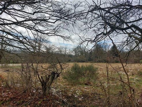 Promotoren & Investoren: Exklusives Baugrundstück in gefragter naturnaher Grenzlage –baureif und ohne Bauverpflichtung