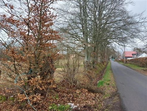 Promotoren & Investoren: Exklusives Baugrundstück in gefragter naturnaher Grenzlage –baureif und ohne Bauverpflichtung