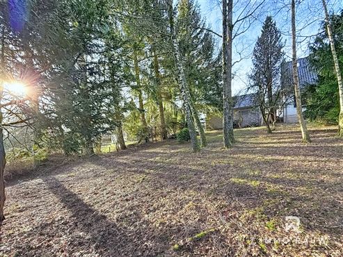 OPTION: Naturnahes Wohnen in Manderfeld - Doppelhaushälfte mit Garten zu verkaufen!