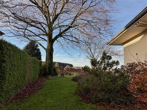 Eynatten - besonderer Bungalow