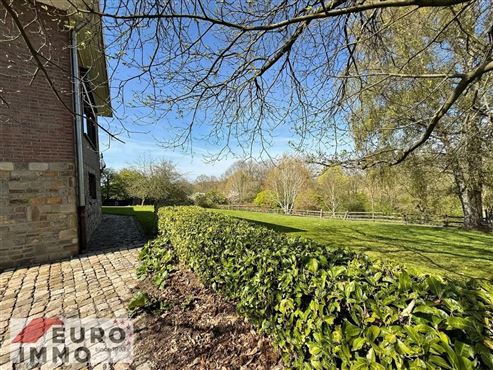 Raumwunder mit Gartenparadies, ein Einfamilienhaus voller Ausbaupotential in attraktiver Lage im Herzen des Dreiländerecks!