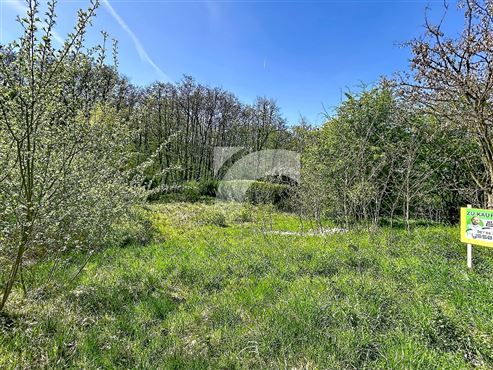 Baugrundstück - NEU-MORESNET