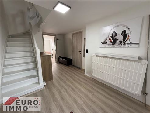 Frisch renovierte Doppelhaushälfte in gesuchter Wohnlage : ruhig, grün und familienfreundlich mit direktem Naturanschluss