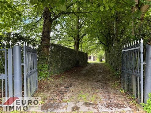 Ein Ort voller Charme & Möglichkeiten: Hofensemble mit bewohnbarem Bauernhaus, ausbaubaren Stallungen und optionalem Baugrundstück mit beeindruckendem Entwicklungspotenzial und Nutzungsmöglichkeiten
