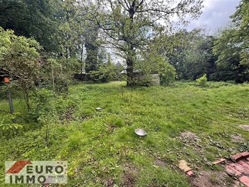Ein Ort voller Charme & Möglichkeiten: Hofensemble mit bewohnbarem Bauernhaus, ausbaubaren Stallungen und optionalem Baugrundstück mit beeindruckendem Entwicklungspotenzial und Nutzungsmöglichkeiten