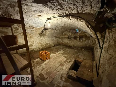Ein Ort voller Charme & Möglichkeiten: Hofensemble mit bewohnbarem Bauernhaus, ausbaubaren Stallungen und optionalem Baugrundstück mit beeindruckendem Entwicklungspotenzial und Nutzungsmöglichkeiten
