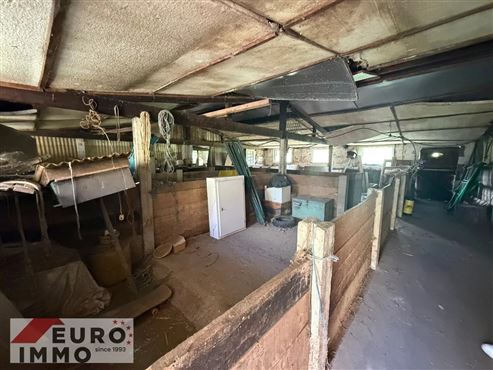 Ein Ort voller Charme & Möglichkeiten: Hofensemble mit bewohnbarem Bauernhaus, ausbaubaren Stallungen und optionalem Baugrundstück mit beeindruckendem Entwicklungspotenzial und Nutzungsmöglichkeiten