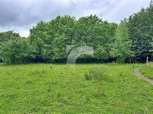Terrain en Zone d'habitat et Agricole - SART-LEZ-SPA