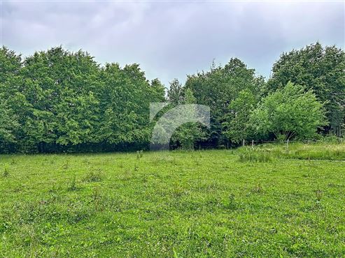 Terrain en Zone d'habitat et Agricole - SART-LEZ-SPA