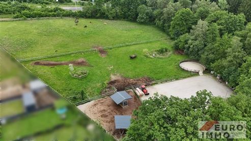 Exklusive Pferdeimmobilie am Waldesrand: Wohnen und professionelle Infrastruktur für anspruchsvolle Pferdehaltung