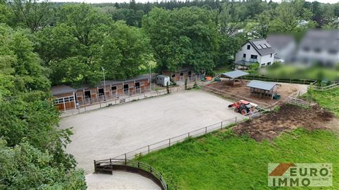 Exklusive Pferdeimmobilie am Waldesrand: Wohnen und professionelle Infrastruktur für anspruchsvolle Pferdehaltung