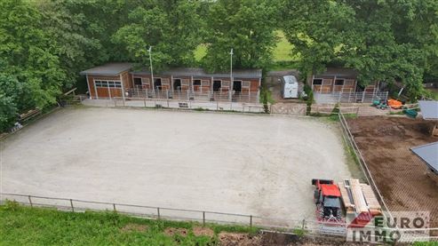 Exklusive Pferdeimmobilie am Waldesrand: Wohnen und professionelle Infrastruktur für anspruchsvolle Pferdehaltung