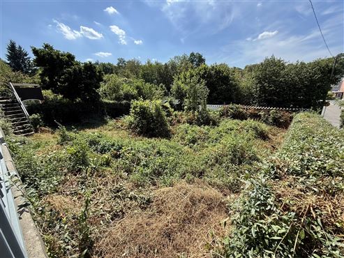 Potenzialgrundstück in ruhiger und grüner Wohnlage – Baugrundstück oder Gartenparadies