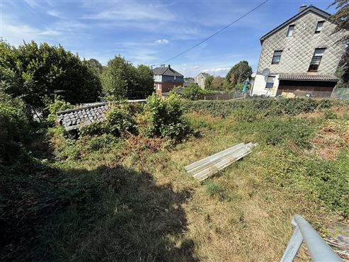 Potenzialgrundstück in ruhiger und grüner Wohnlage – Baugrundstück oder Gartenparadies