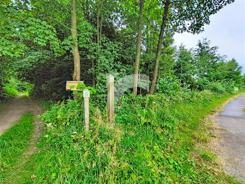 Grundstück in einem Wohngebiet und in einem landwi - ELSENBORN