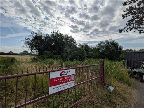 Verwirklichen Sie hier Ihren Wohntraum: Ruhe & Natur mit Fernblick und Waldrandlage