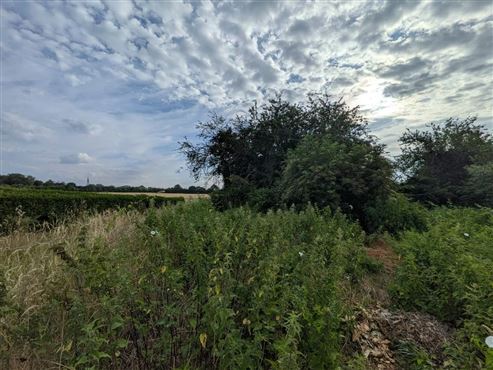 Verwirklichen Sie hier Ihren Wohntraum: Ruhe & Natur mit Fernblick und Waldrandlage