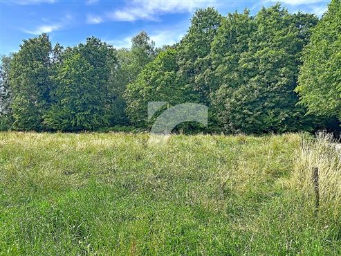 Wiese - TEUVEN
