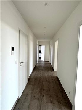 Exklusives Penthouse mit großzügiger Sonnenterrasse und Panoramablick, stilvolles Wohnen in grenznaher Lage
