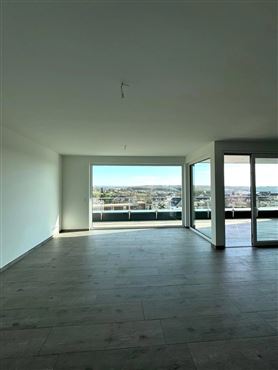 Exklusives Penthouse mit großzügiger Sonnenterrasse und Panoramablick, stilvolles Wohnen in grenznaher Lage