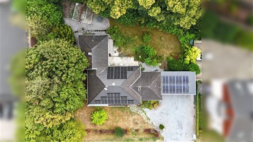 Großzügige Bungalow-Villa mit weitläufigem Garten und vielseitigem Wohnpotenzial im Dreiländereck und Grenzlage