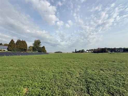 Strategische Grundstücksinvestition – ca. 6 Hektar landwirtschaftliche Fläche in einer ZACC-Zone vor den Toren von Lüttich