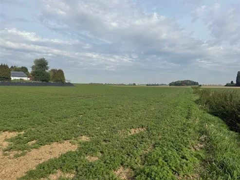 Strategische Grundstücksinvestition – ca. 6 Hektar landwirtschaftliche Fläche in einer ZACC-Zone vor den Toren von Lüttich
