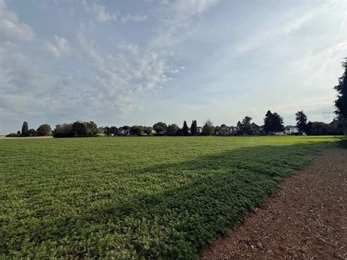 Strategische Grundstücksinvestition – ca. 6 Hektar landwirtschaftliche Fläche in einer ZACC-Zone vor den Toren von Lüttich