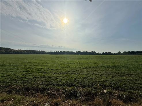 Wunderschönes Ensemble aus landwirtschaftlichen Flächen und Weideland mit über 5 Hektar