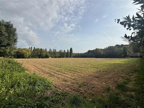 GROSSES GRUNDSTÜCKSAREAL VON CA. 12.000 M² – BESTEHEND AUS EINER WOHNBAUZONE UND EINER ZACC-ZONE