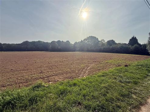 GROSSES GRUNDSTÜCKSAREAL VON CA. 12.000 M² – BESTEHEND AUS EINER WOHNBAUZONE UND EINER ZACC-ZONE