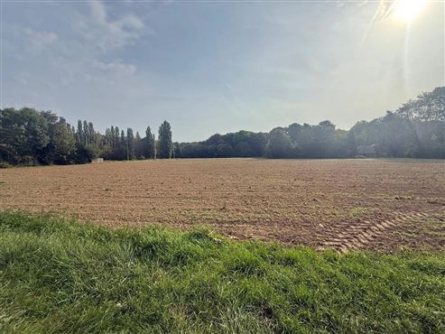 GROSSES GRUNDSTÜCKSAREAL VON CA. 12.000 M² – BESTEHEND AUS EINER WOHNBAUZONE UND EINER ZACC-ZONE
