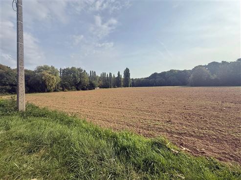 GROSSES GRUNDSTÜCKSAREAL VON CA. 12.000 M² – BESTEHEND AUS EINER WOHNBAUZONE UND EINER ZACC-ZONE