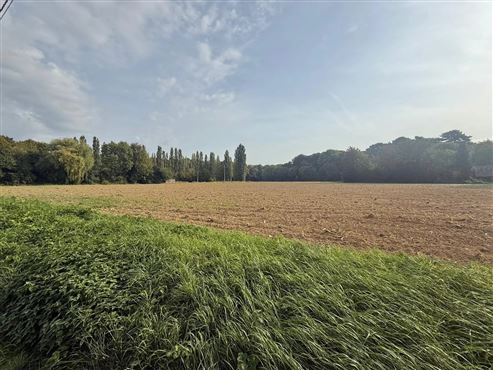 GROSSES GRUNDSTÜCKSAREAL VON CA. 12.000 M² – BESTEHEND AUS EINER WOHNBAUZONE UND EINER ZACC-ZONE
