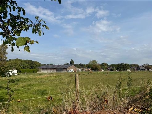 Attraktive Gelegenheit für Investoren und Bauträger – BAUGRUNDSTÜCK MIT 5.410 M² – POTENZIAL FÜR 4 BAUPARZELLEN