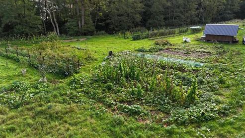 Ein wahres kleines Paradies mit ertragreichem Nutzgarten inmitten der Ardenner Natur!