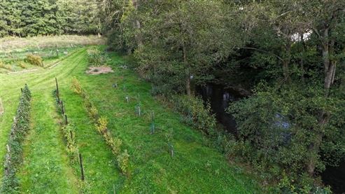 Ein wahres kleines Paradies mit ertragreichem Nutzgarten inmitten der Ardenner Natur!