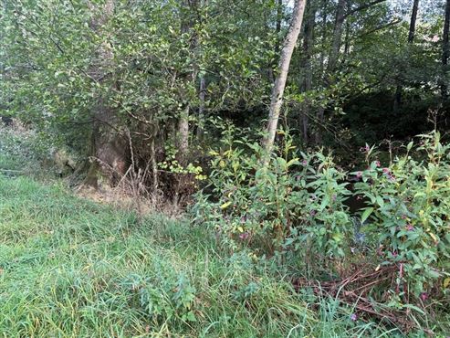 Ein wahres kleines Paradies mit ertragreichem Nutzgarten inmitten der Ardenner Natur!