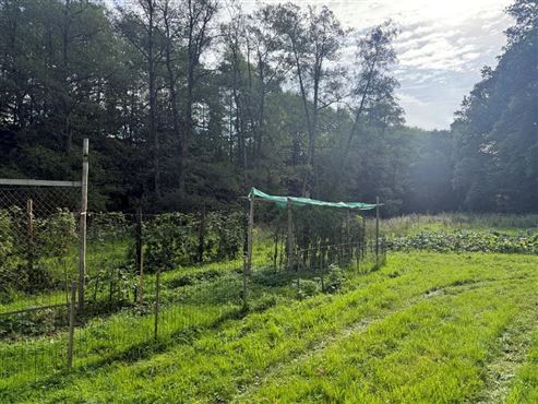 Ein wahres kleines Paradies mit ertragreichem Nutzgarten inmitten der Ardenner Natur!