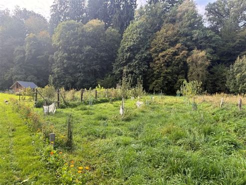 Ein wahres kleines Paradies mit ertragreichem Nutzgarten inmitten der Ardenner Natur!
