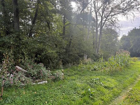 Ein wahres kleines Paradies mit ertragreichem Nutzgarten inmitten der Ardenner Natur!