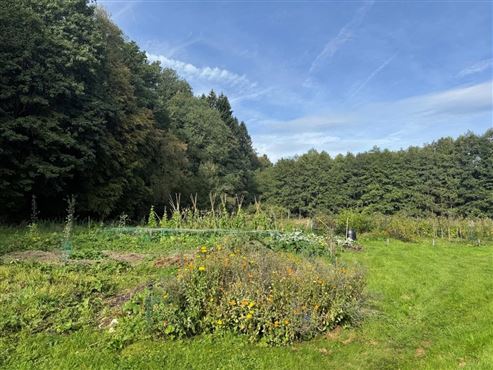 Ein wahres kleines Paradies mit ertragreichem Nutzgarten inmitten der Ardenner Natur!