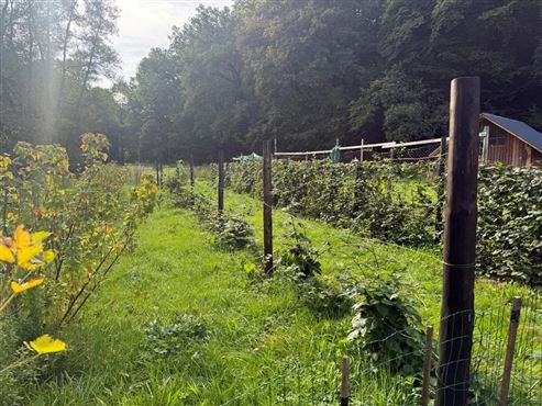 Ein wahres kleines Paradies mit ertragreichem Nutzgarten inmitten der Ardenner Natur!